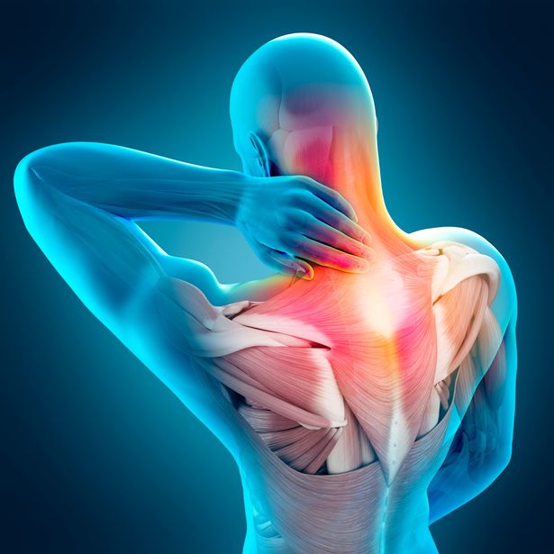 Muscle & Joint Pain - Muscle and Joint Physical Therapy Chicago