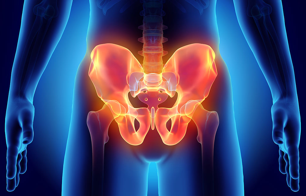 Hip & Pelvic Pain - Muscle and Joint Physical Therapy Chicago